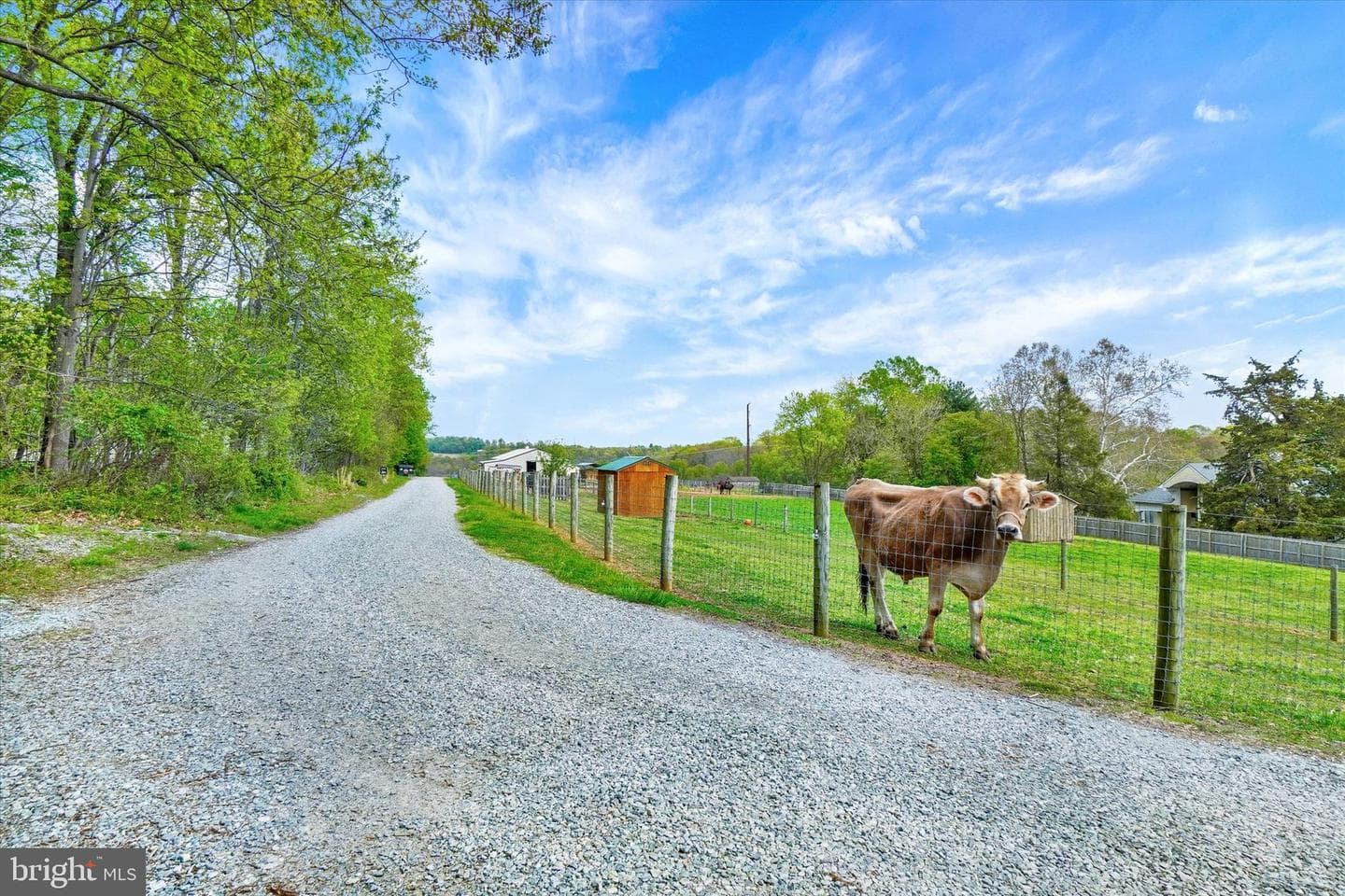 8272 Woodbine Road photo 39