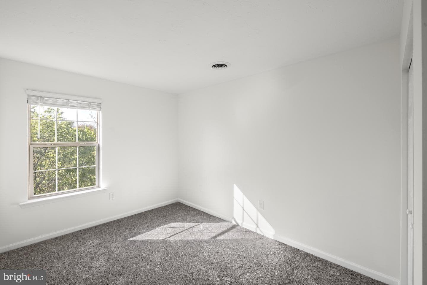 159 Sara Lane photo 23