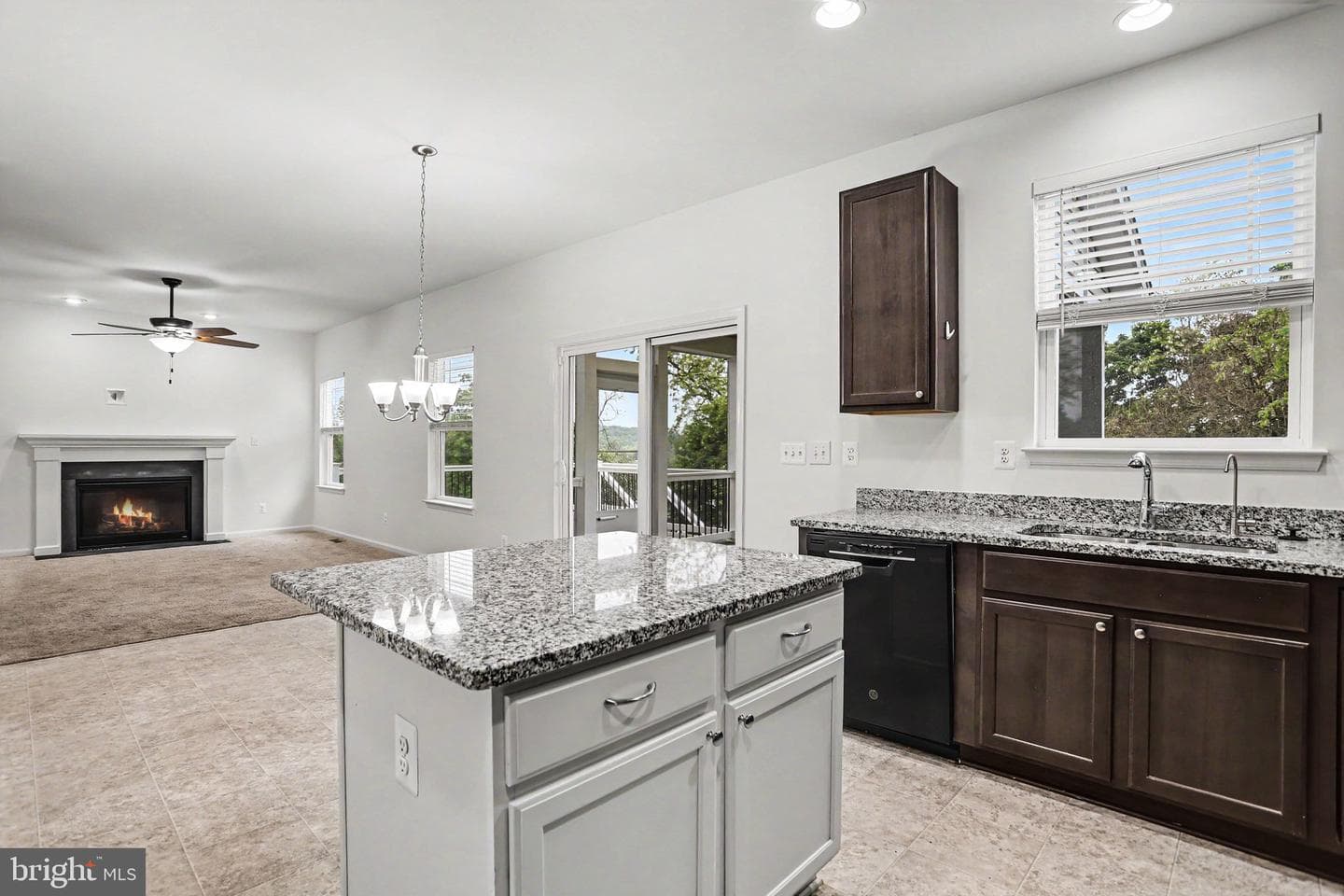 1003 Chestnut Street photo 3