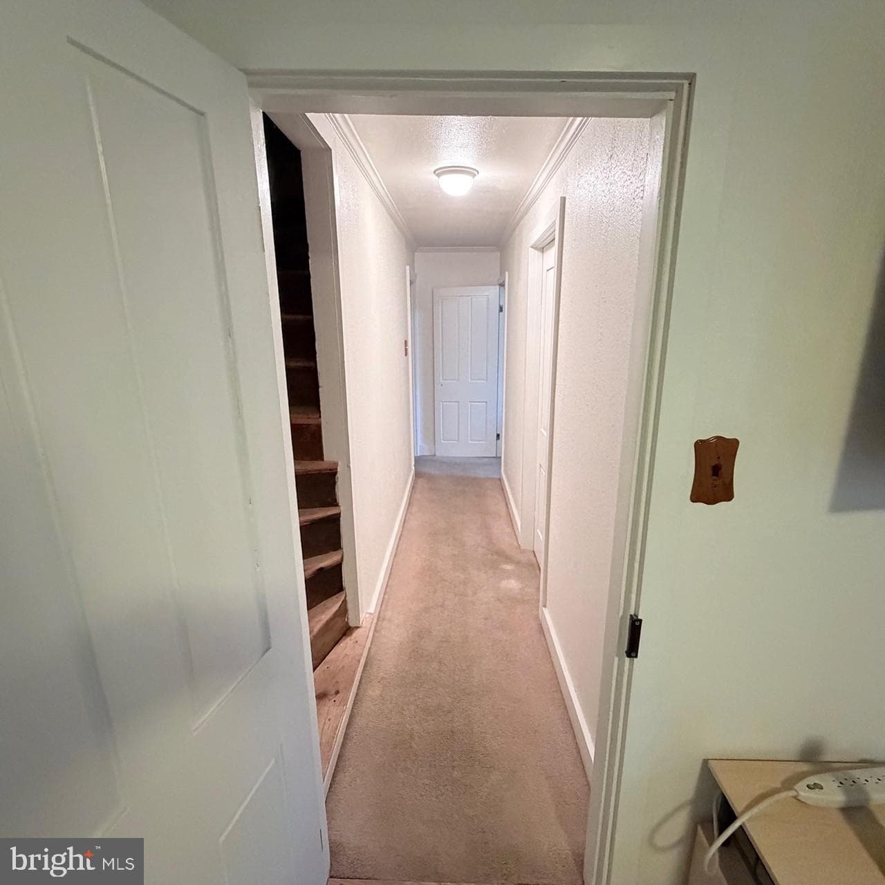 212 Willow Street photo 18