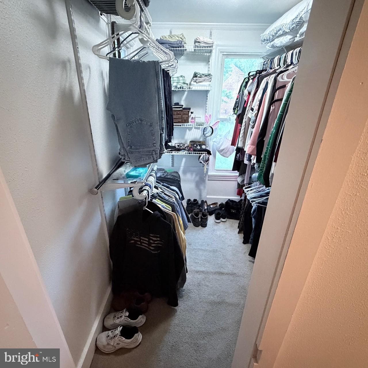212 Willow Street photo 20