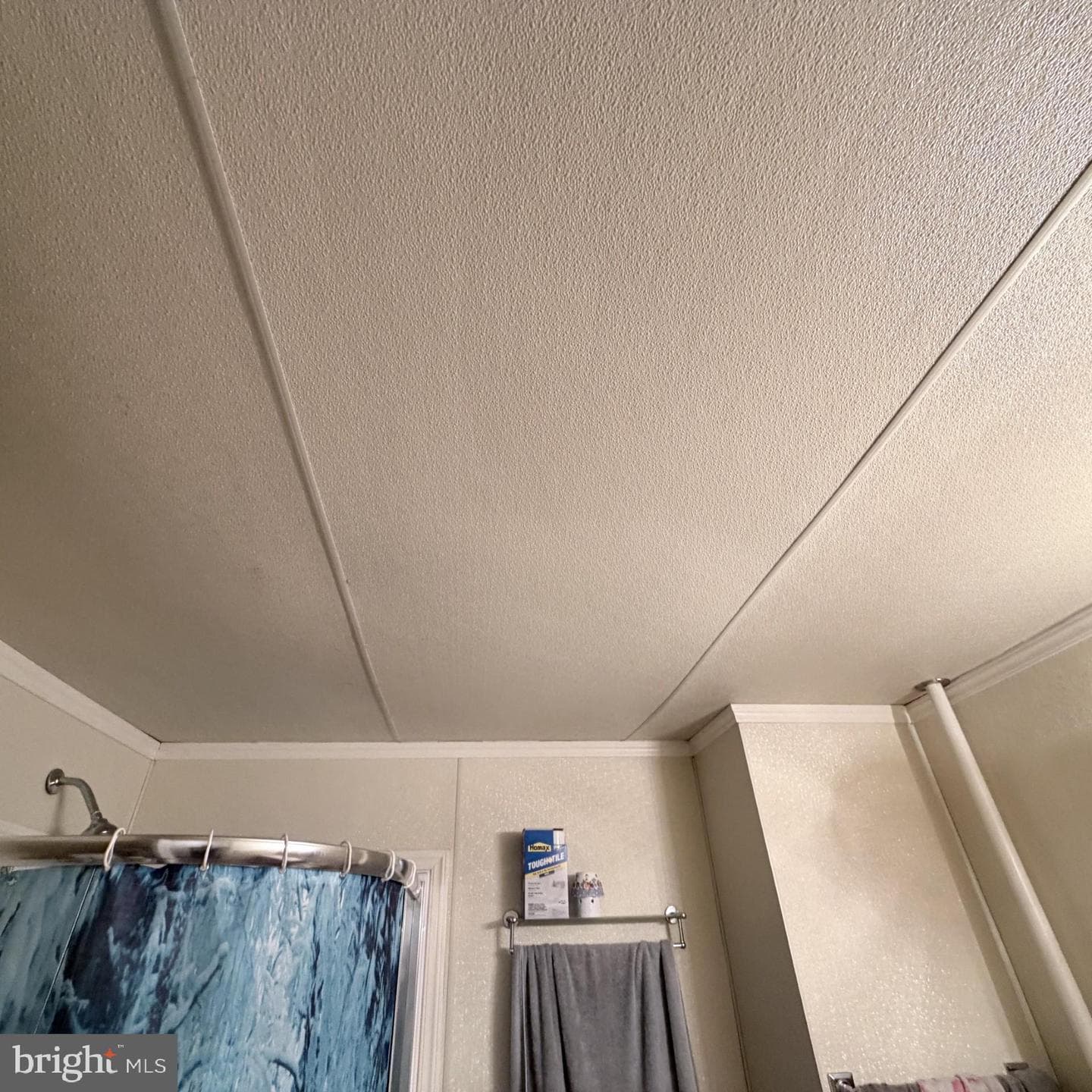 212 Willow Street photo 24