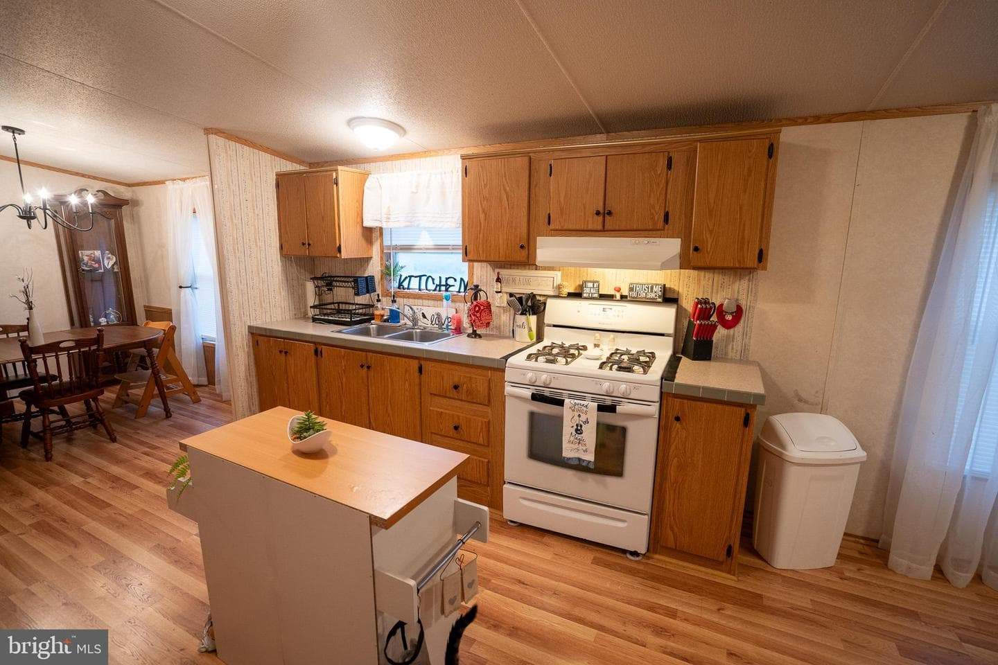 129 Mimosa Drive photo 9