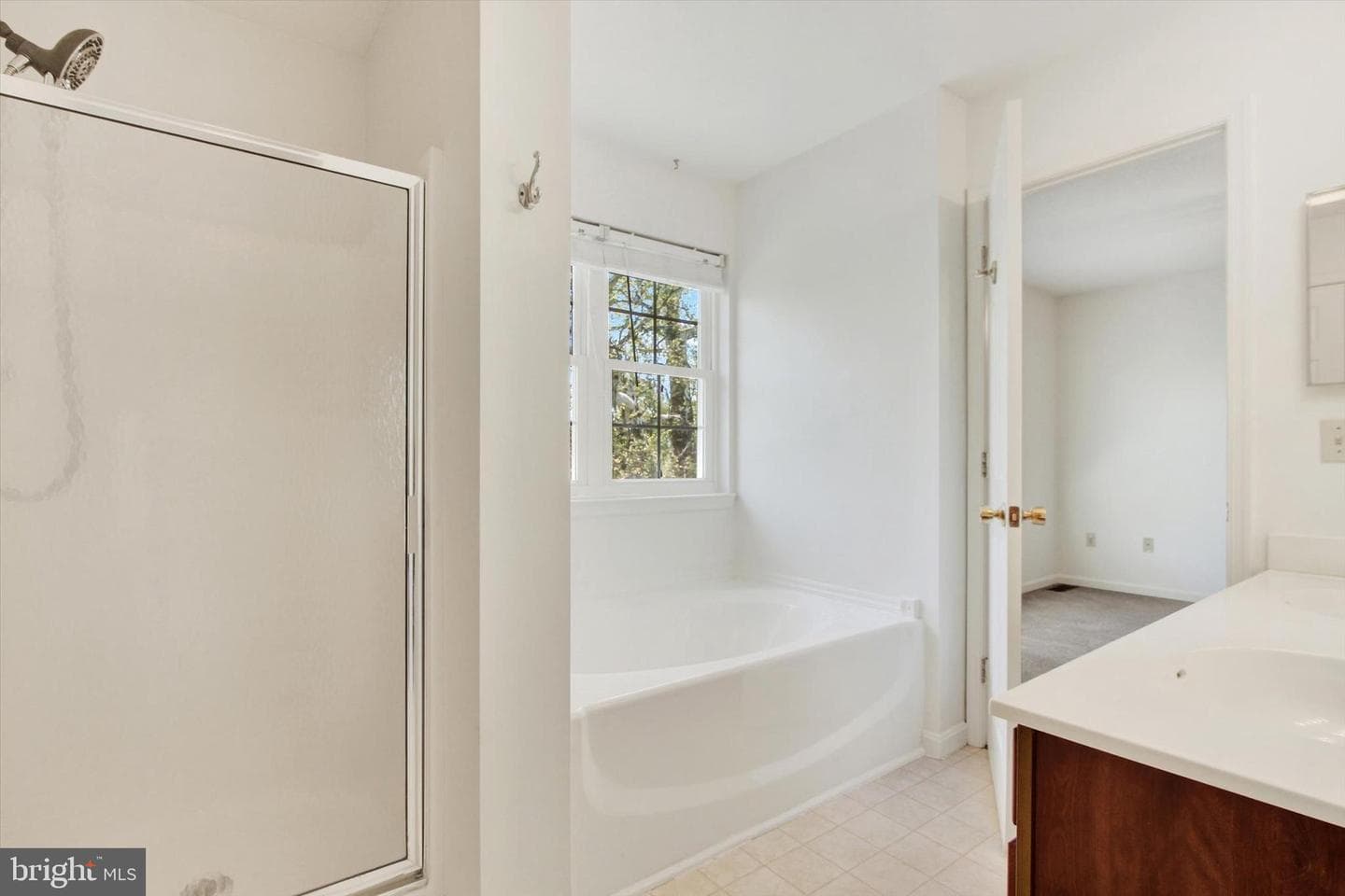 8 Mccleary Court photo 21