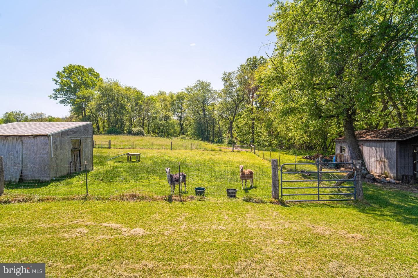 49 Willow Creek Road photo 5