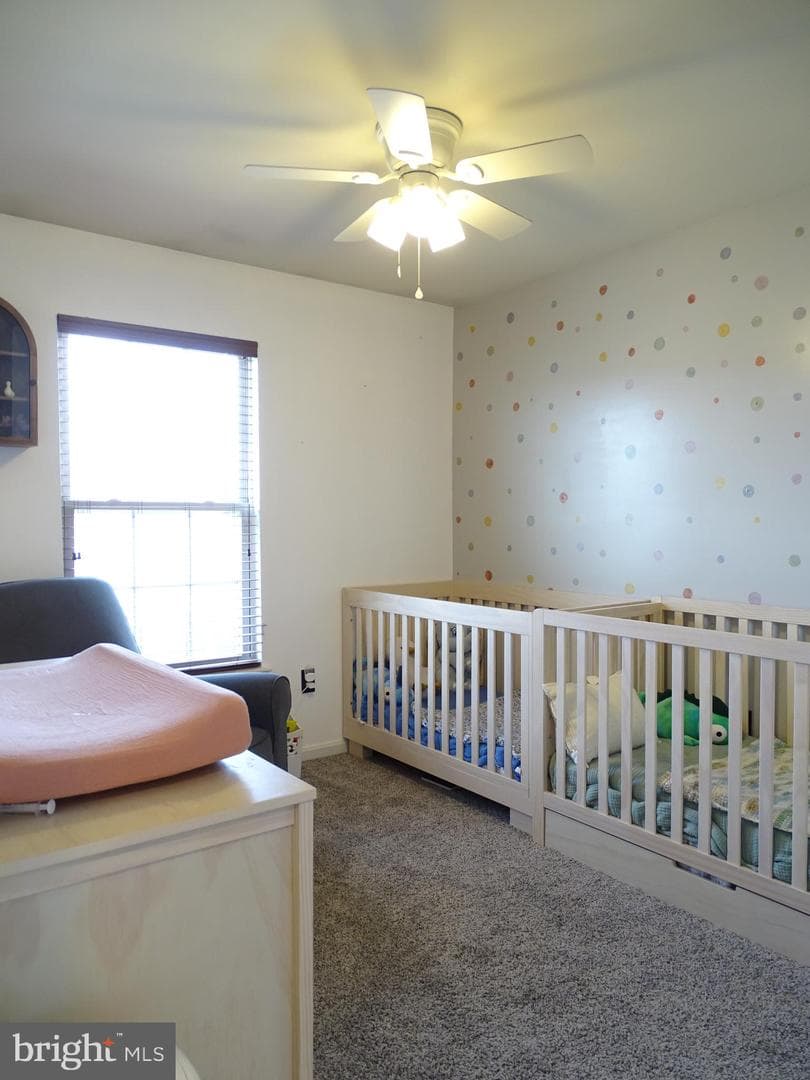 235 Fisher Drive photo 21