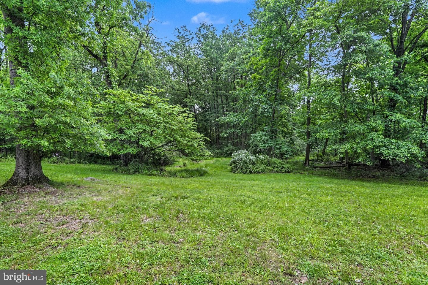 1150 S York Road photo 36