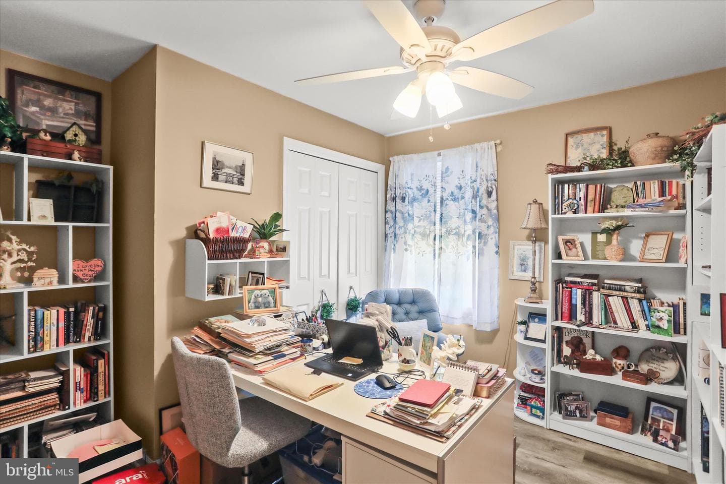 17 Ecker Avenue photo 26