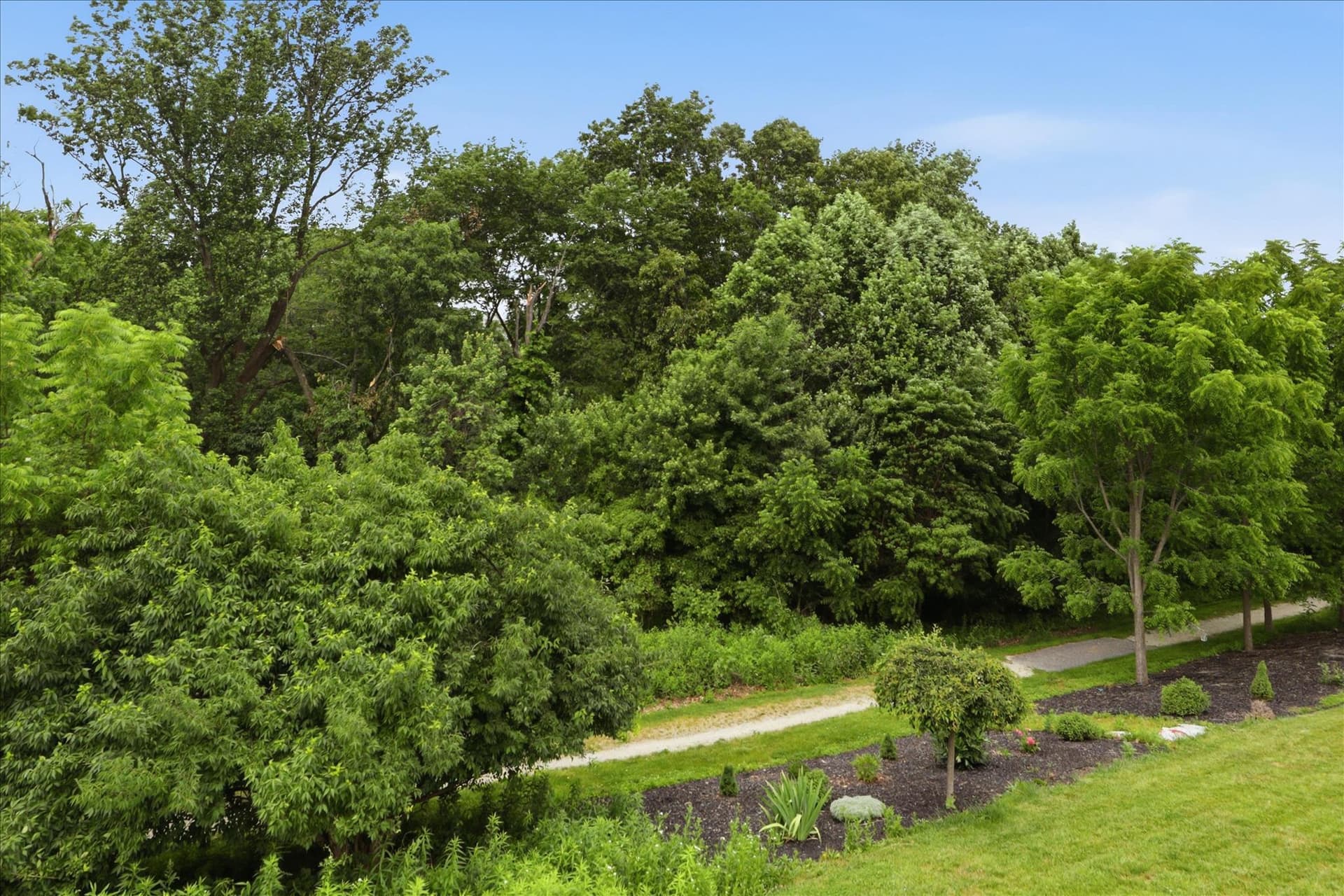 1042 Silver Maple Circle photo 43