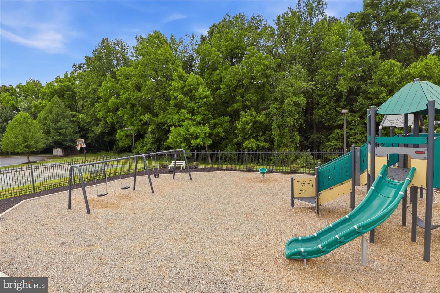 1042 Silver Maple Circle photo 55