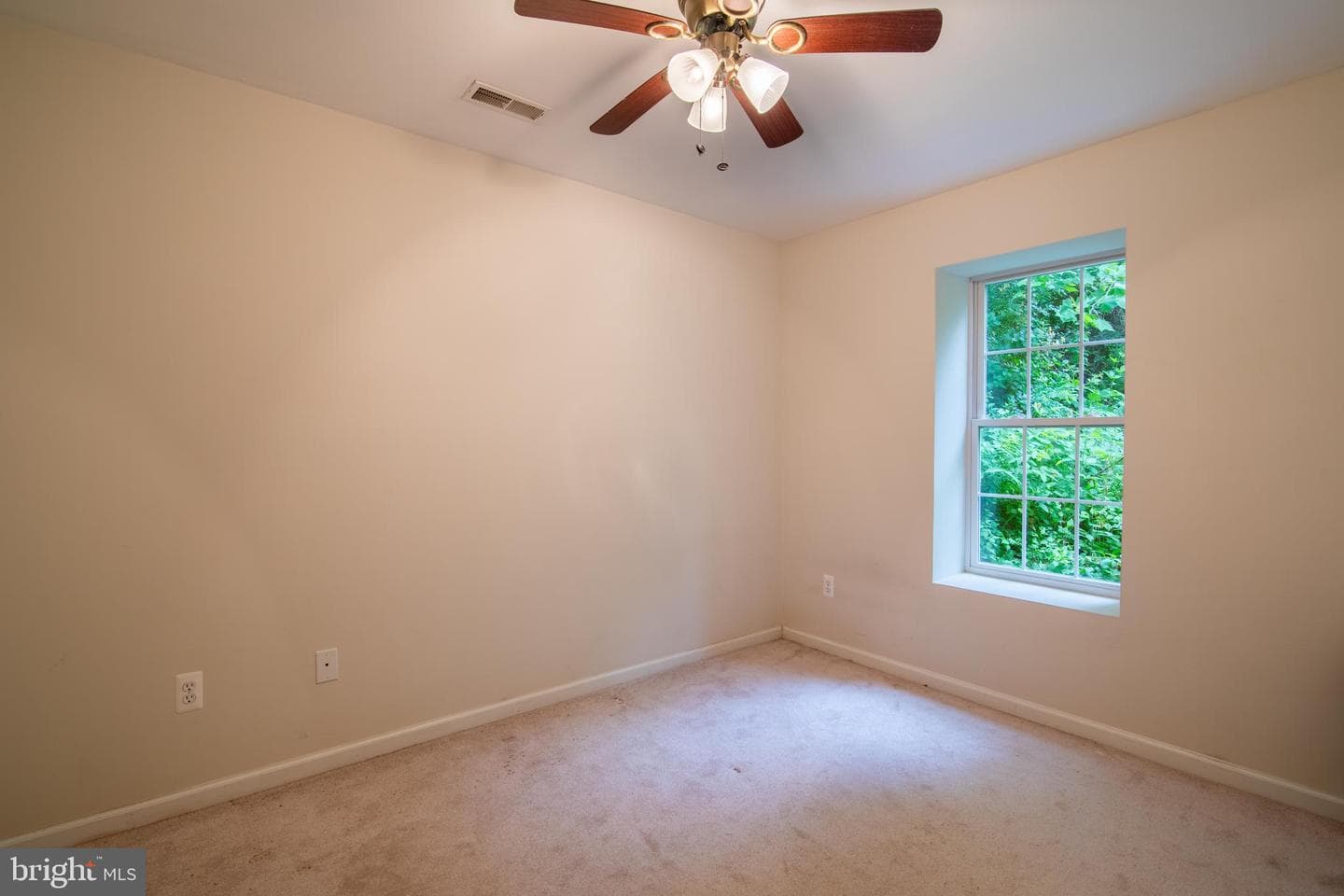 250 Robin Trail photo 19