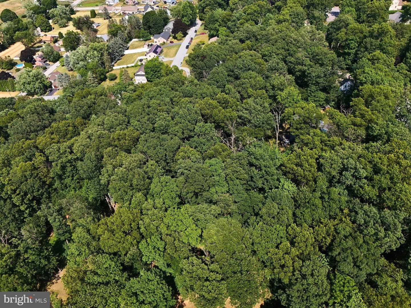 27 Woodside Drive photo 62