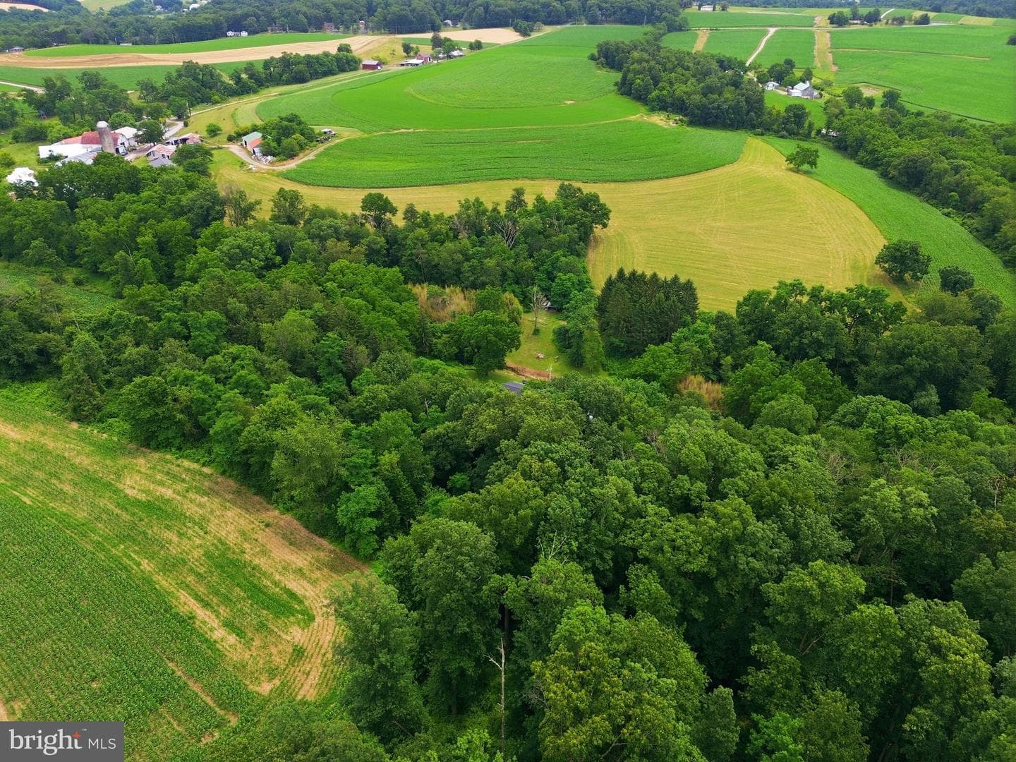 3362 Myers School Road photo 64