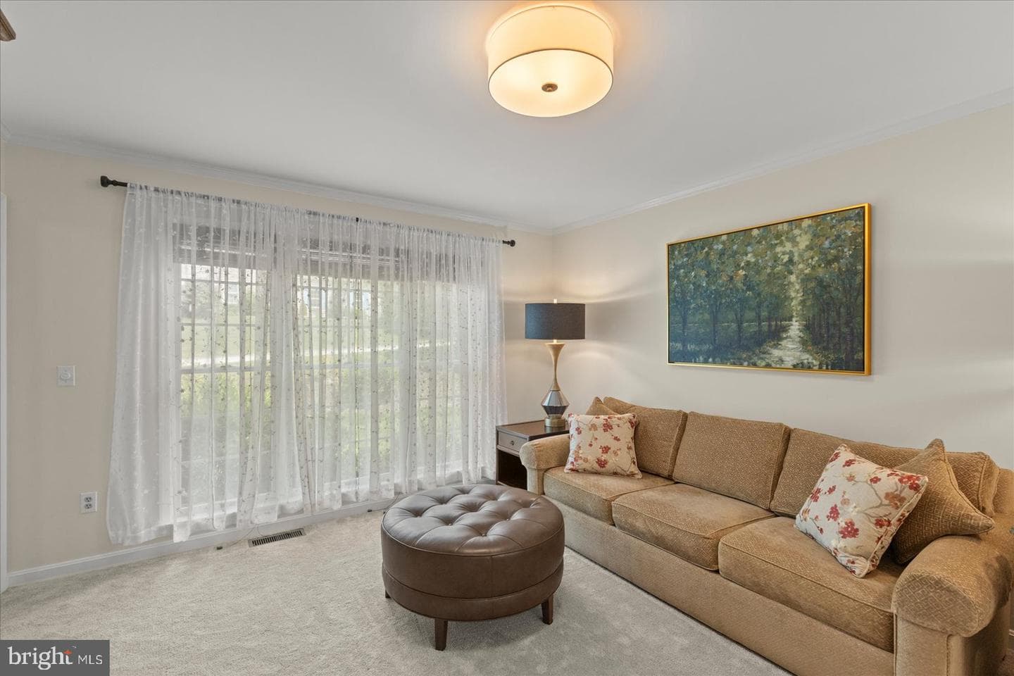 12 Mccurley Drive photo 41