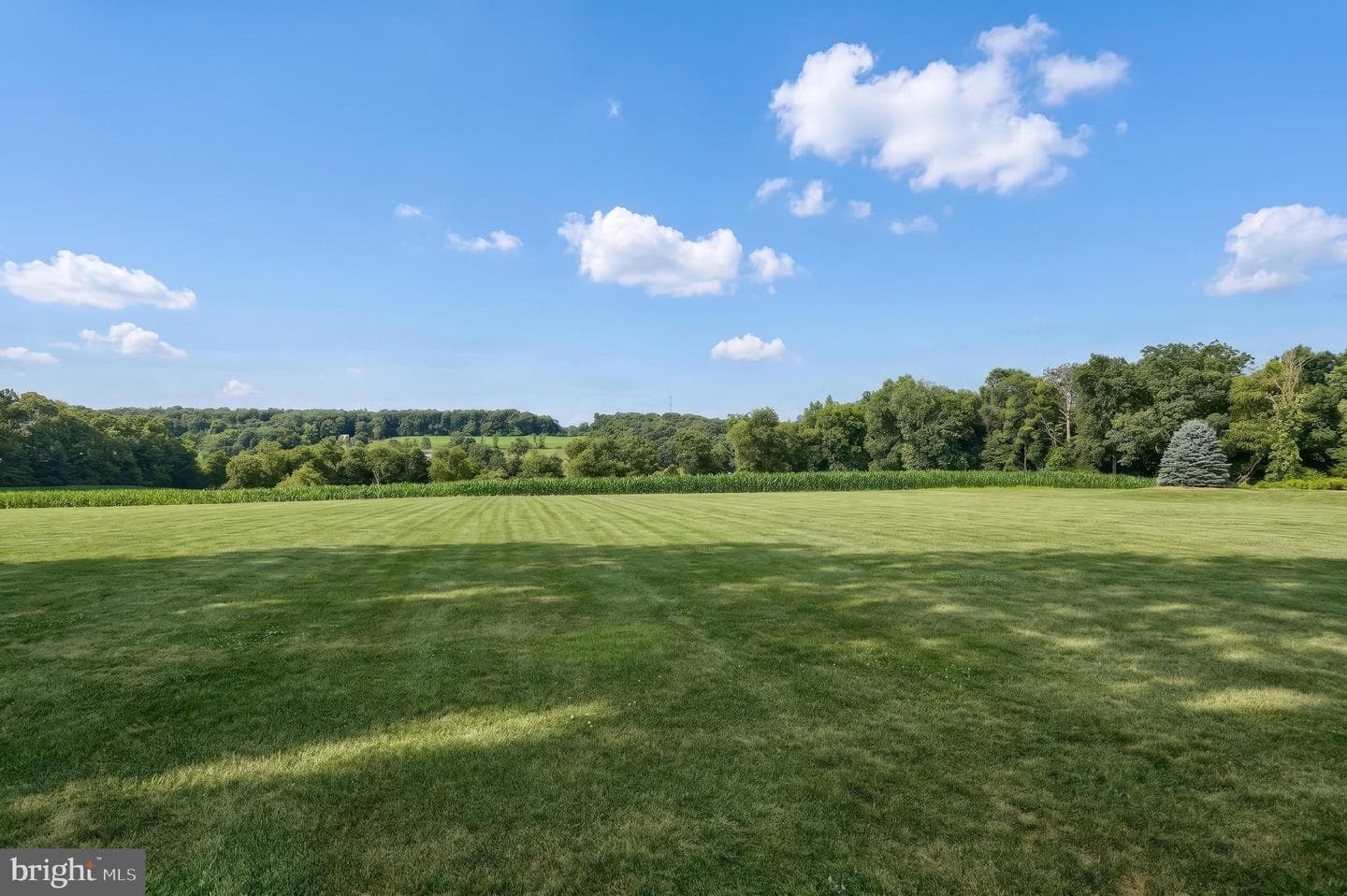 2056 Bridgeview Road photo 8