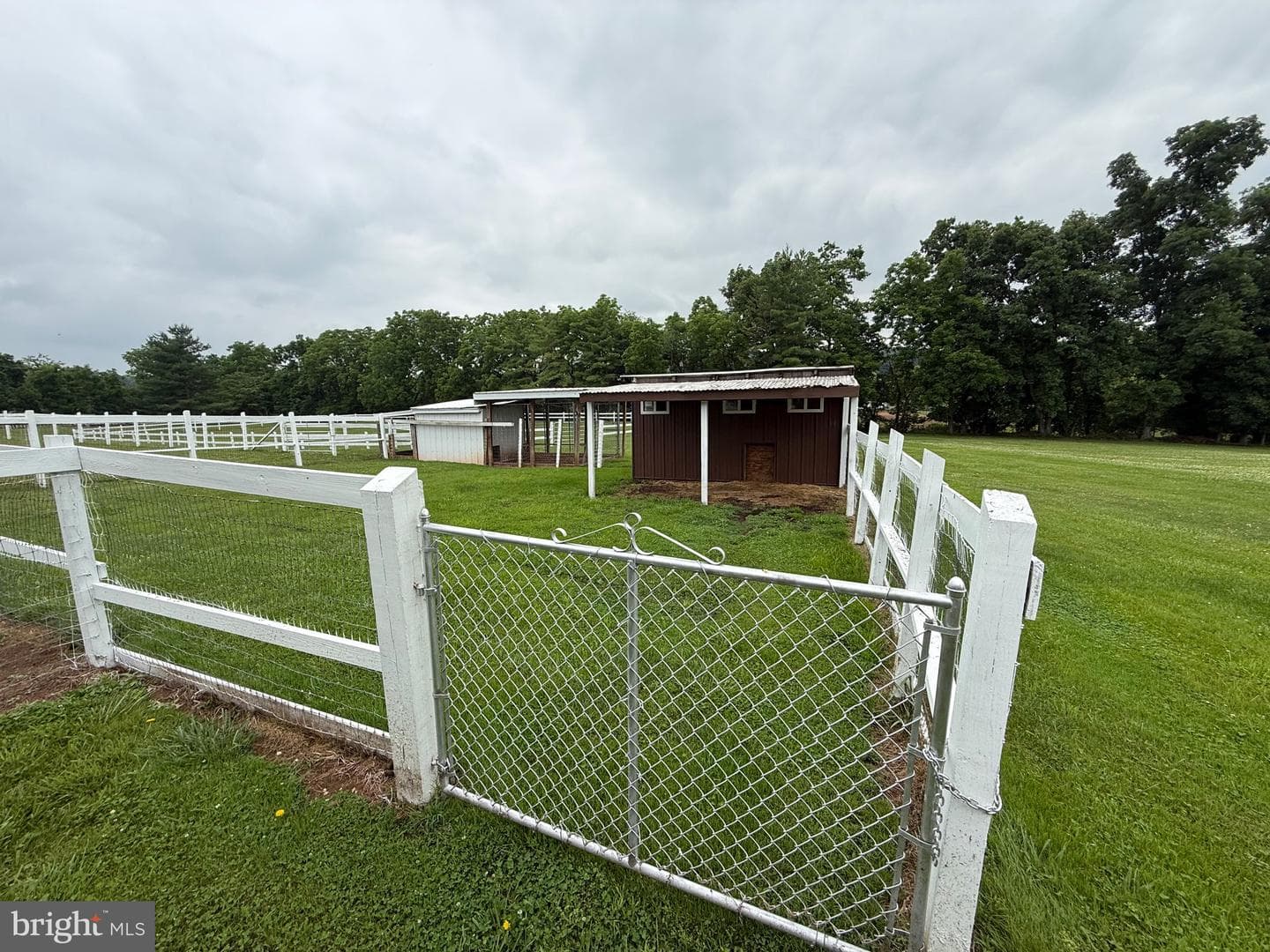 472 Scotch Pine Road photo 21