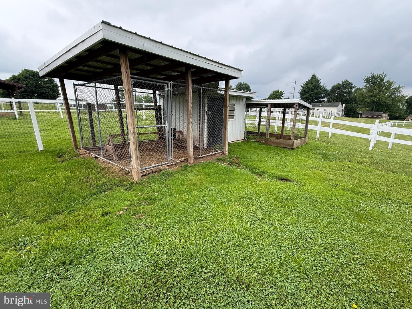 472 Scotch Pine Road photo 25