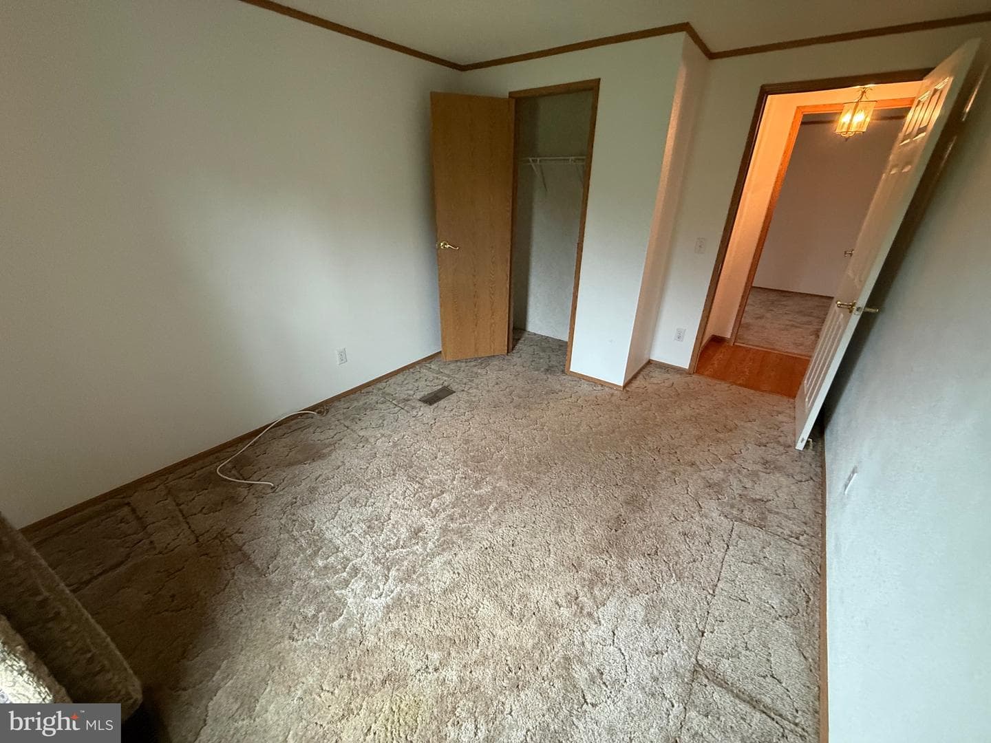 472 Scotch Pine Road photo 41