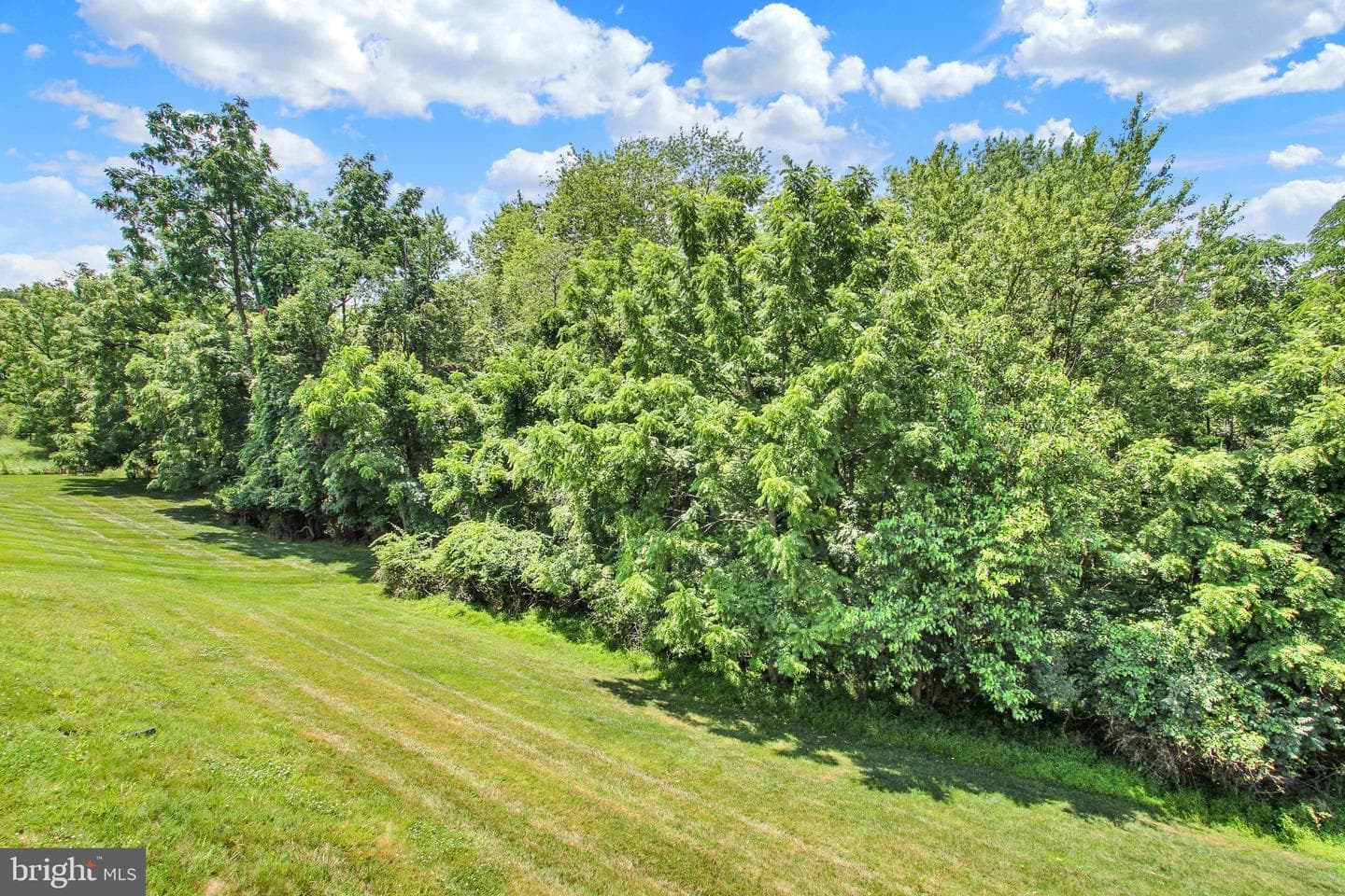 880 Ripple Drive photo 29