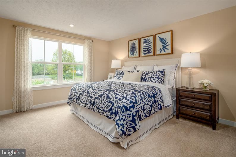 388 Kelso Drive photo 10