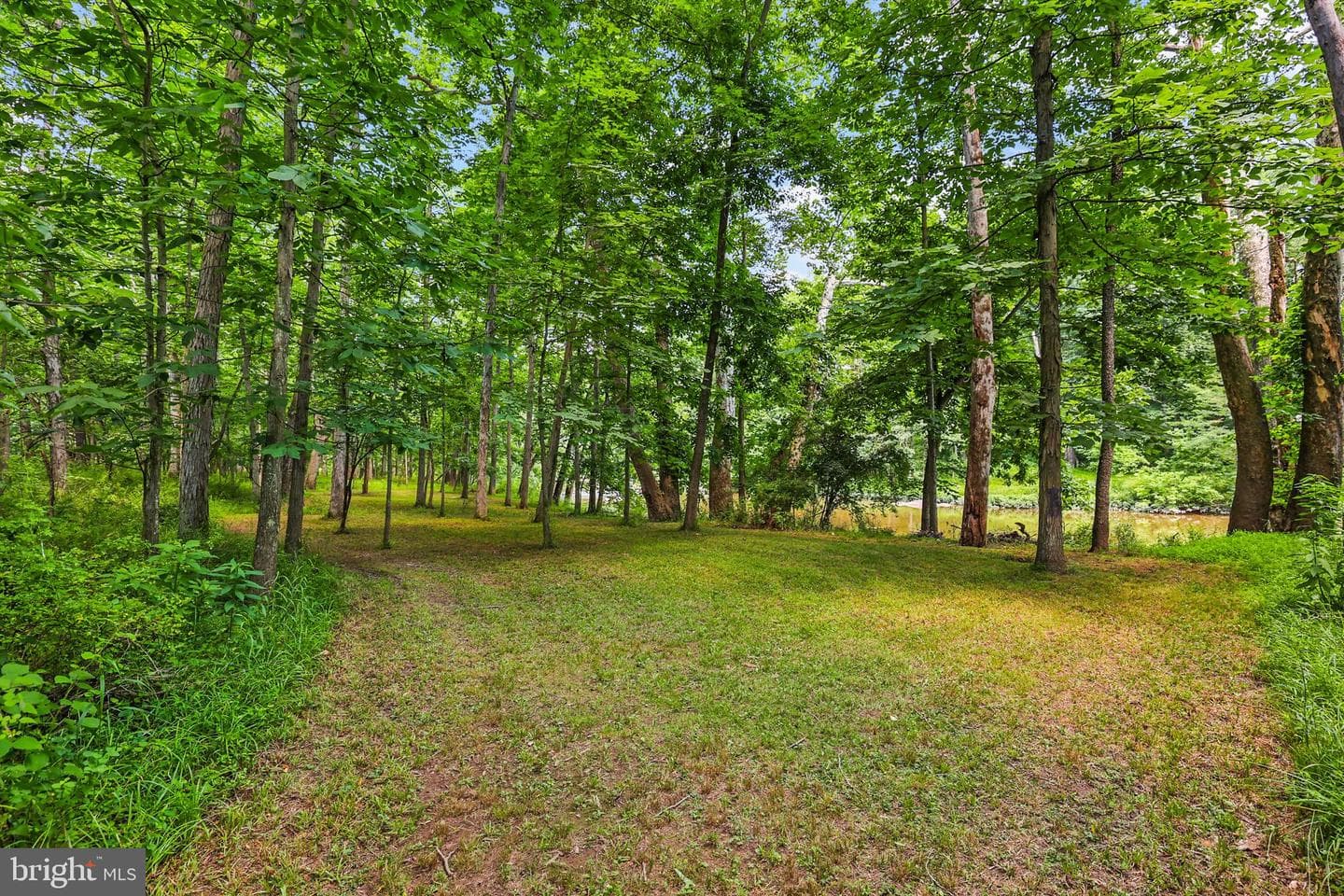71 Hull Drive photo 48