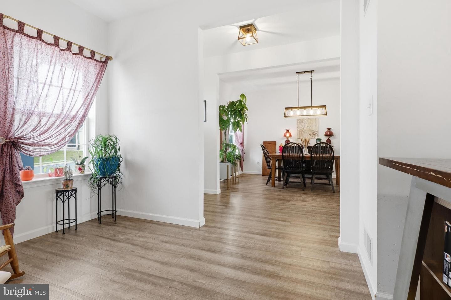 216 Hollyhock Drive photo 19