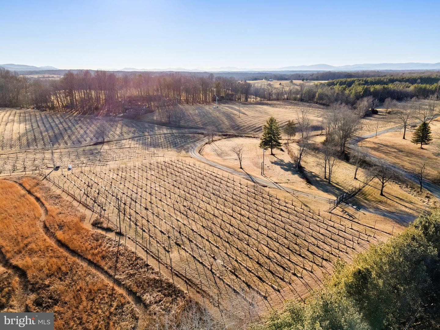 4500 Winery Lane photo 13
