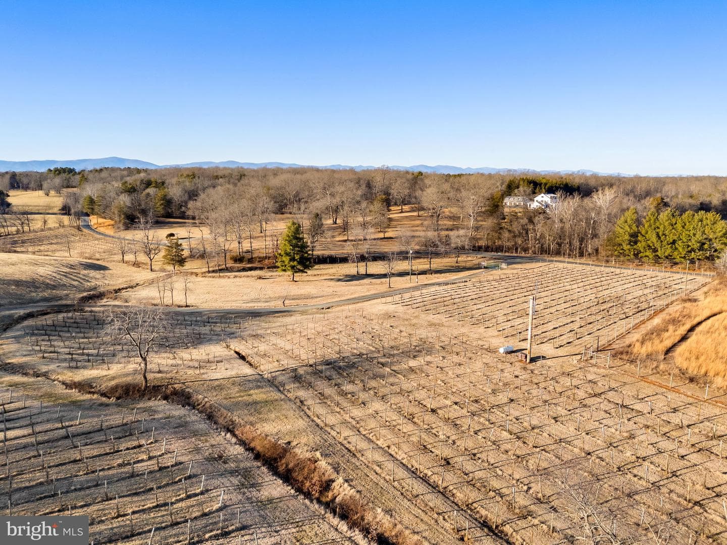 4500 Winery Lane photo 14