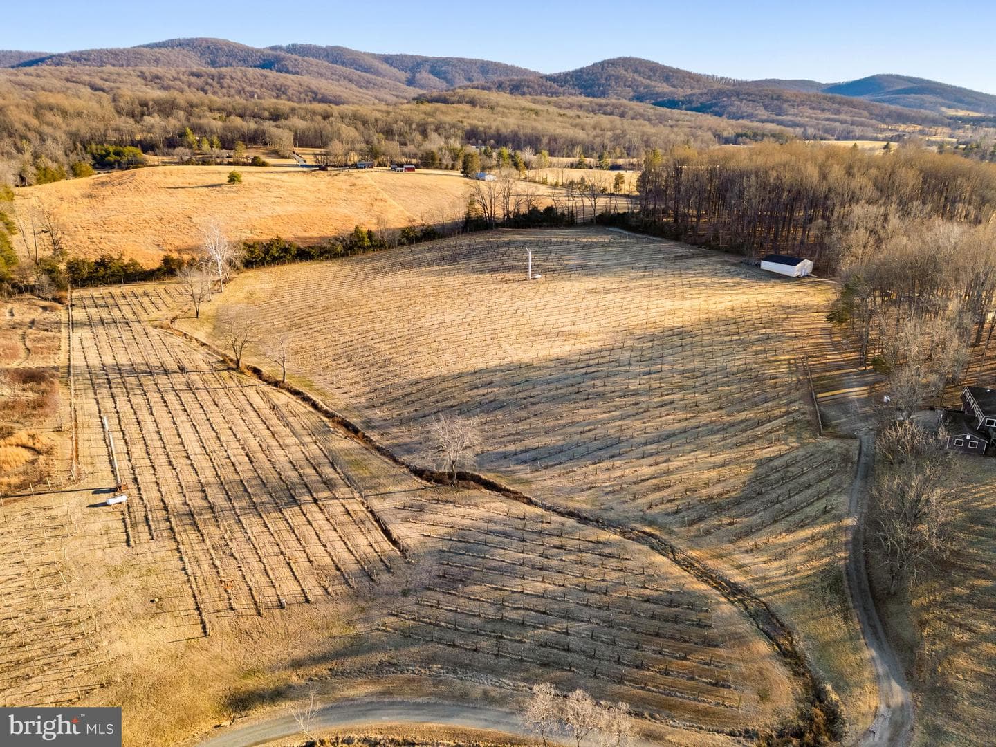 4500 Winery Lane photo 17