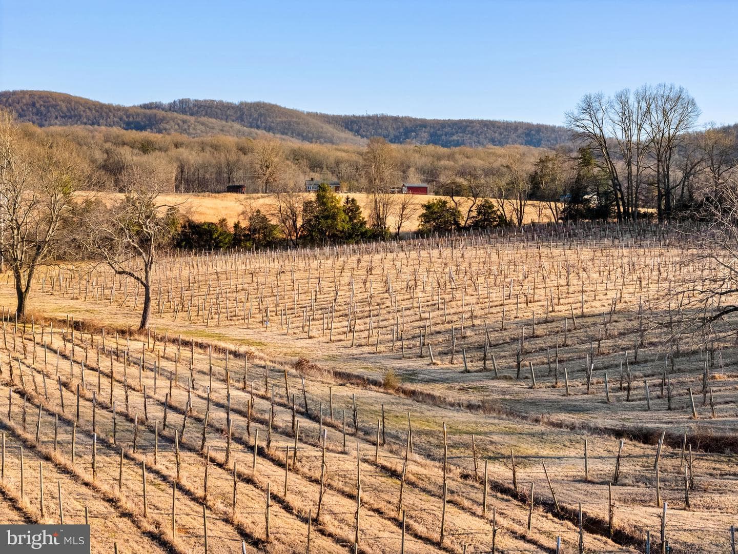 4500 Winery Lane photo 18