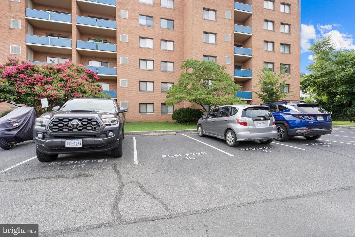 1931 N Cleveland Street #207 photo 6