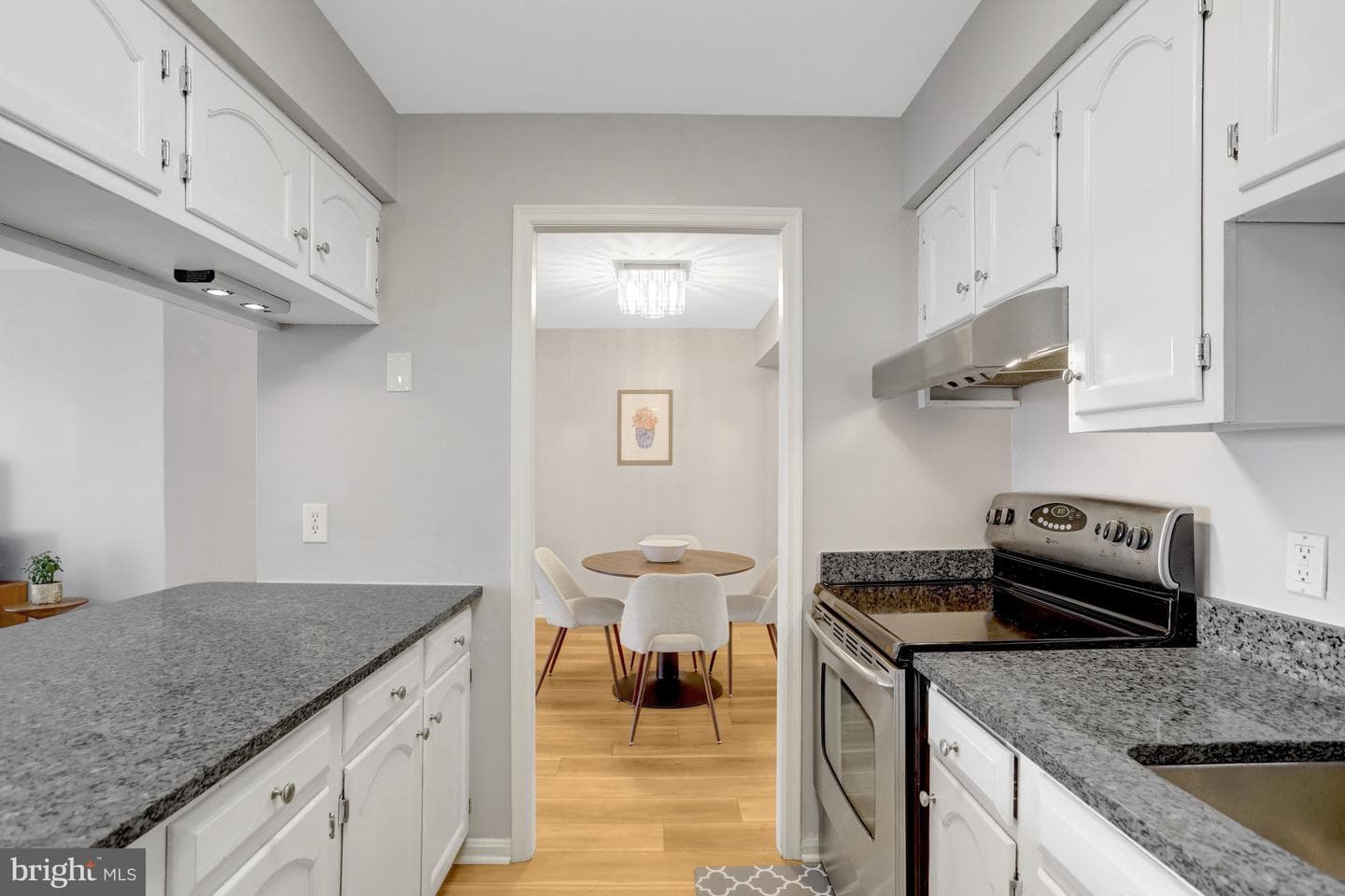 1301 N Courthouse Road #1108 photo 12