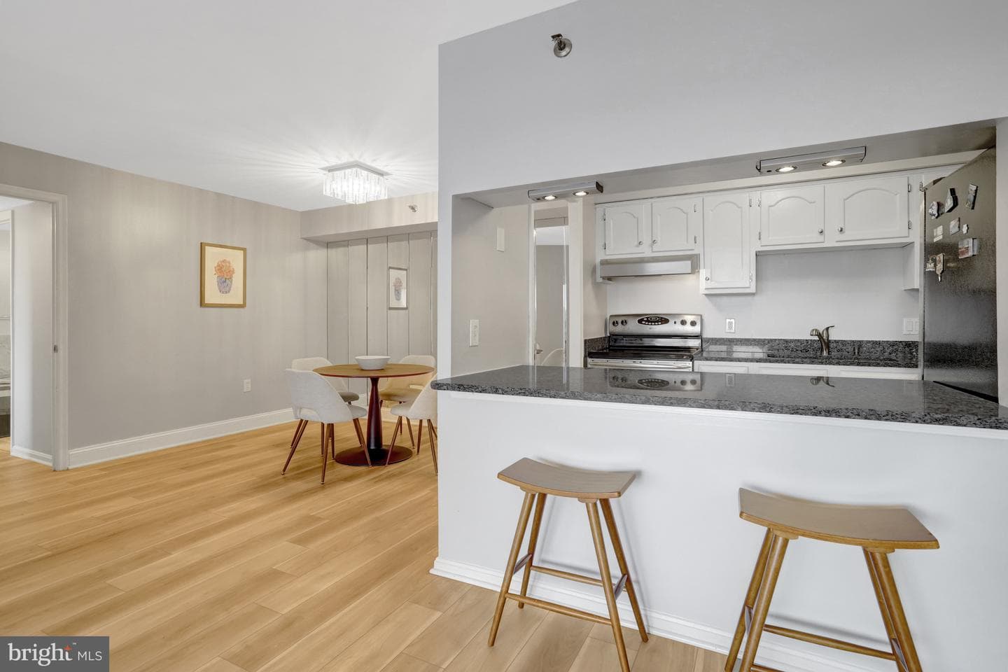 1301 N Courthouse Road #1108 photo 8