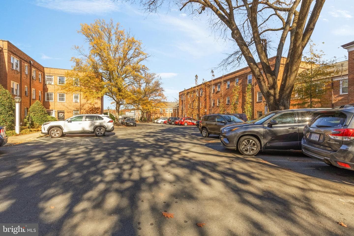 5010 Columbia Pike #6 photo 14