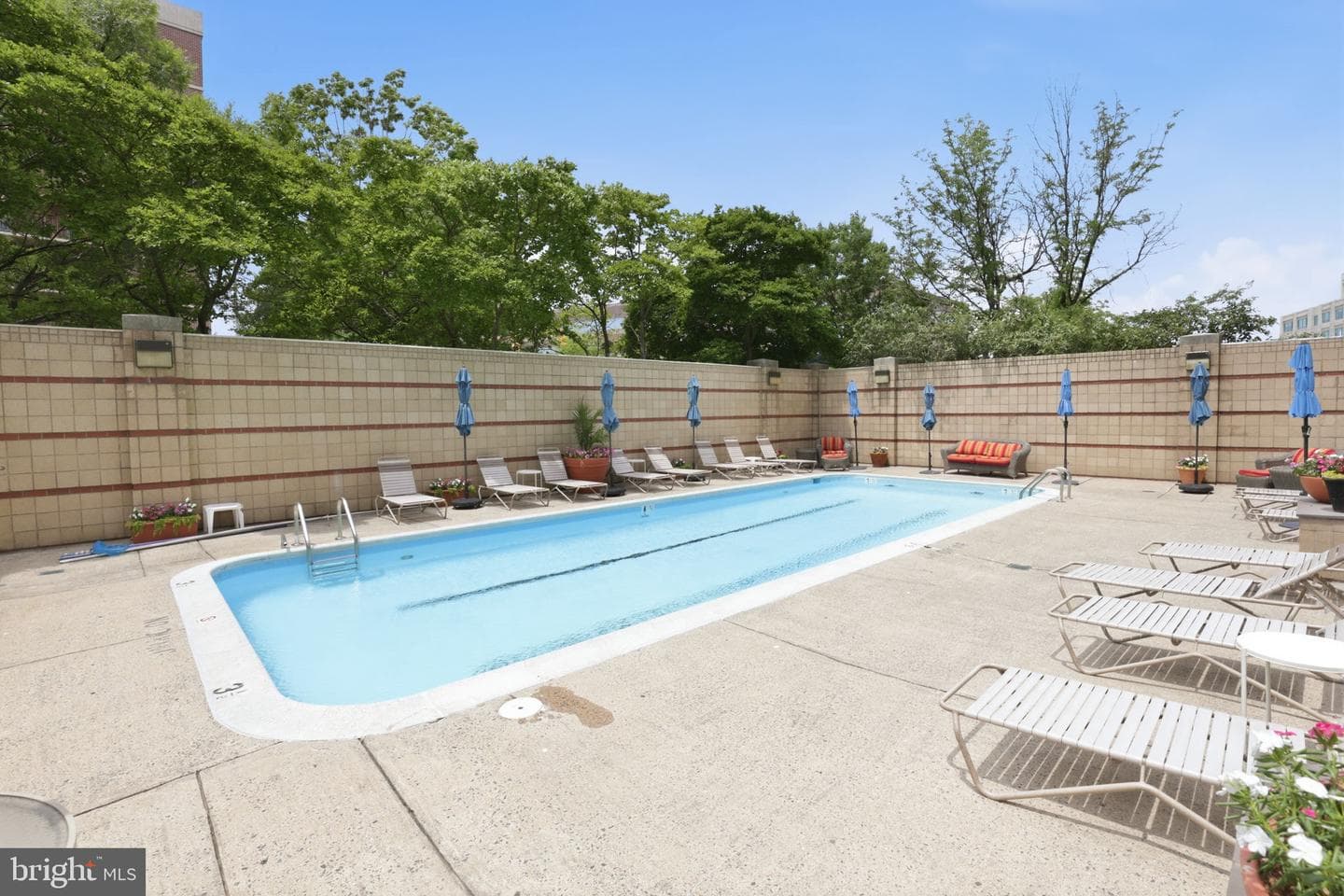 2400 Clarendon Boulevard #815 photo 28