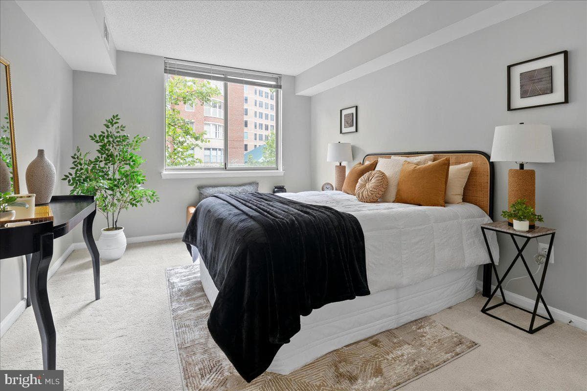 3835 9th Street N #302e photo 14
