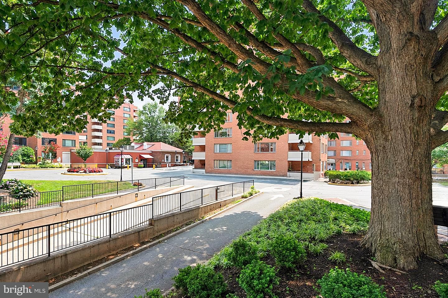 1121 Arlington Boulevard #206 photo 33