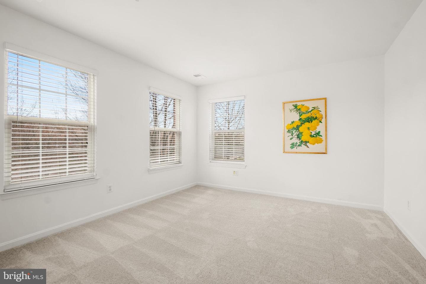 3815 Eisenhower Avenue photo 31