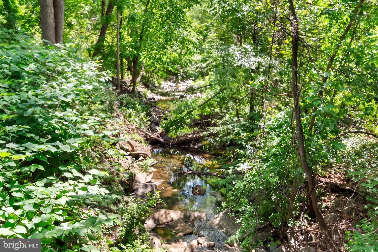 205 Skyhill Road #8 photo 36