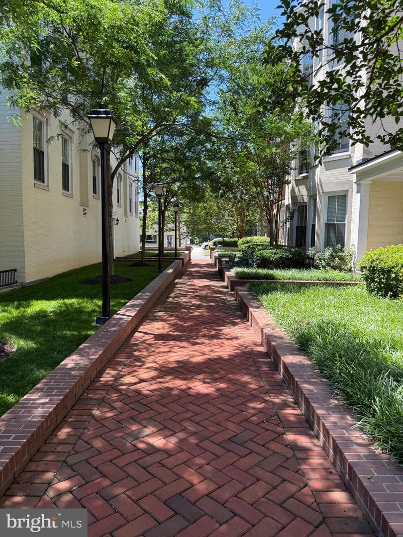 910 Powhatan Street #304s photo 3