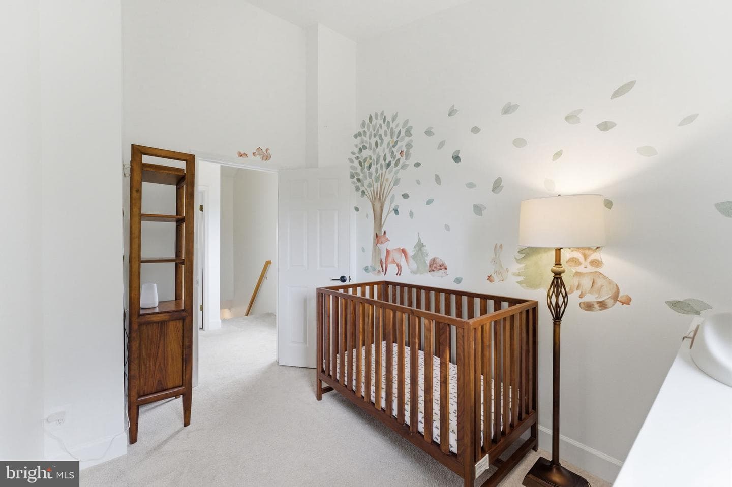 45 Herbert Street photo 22