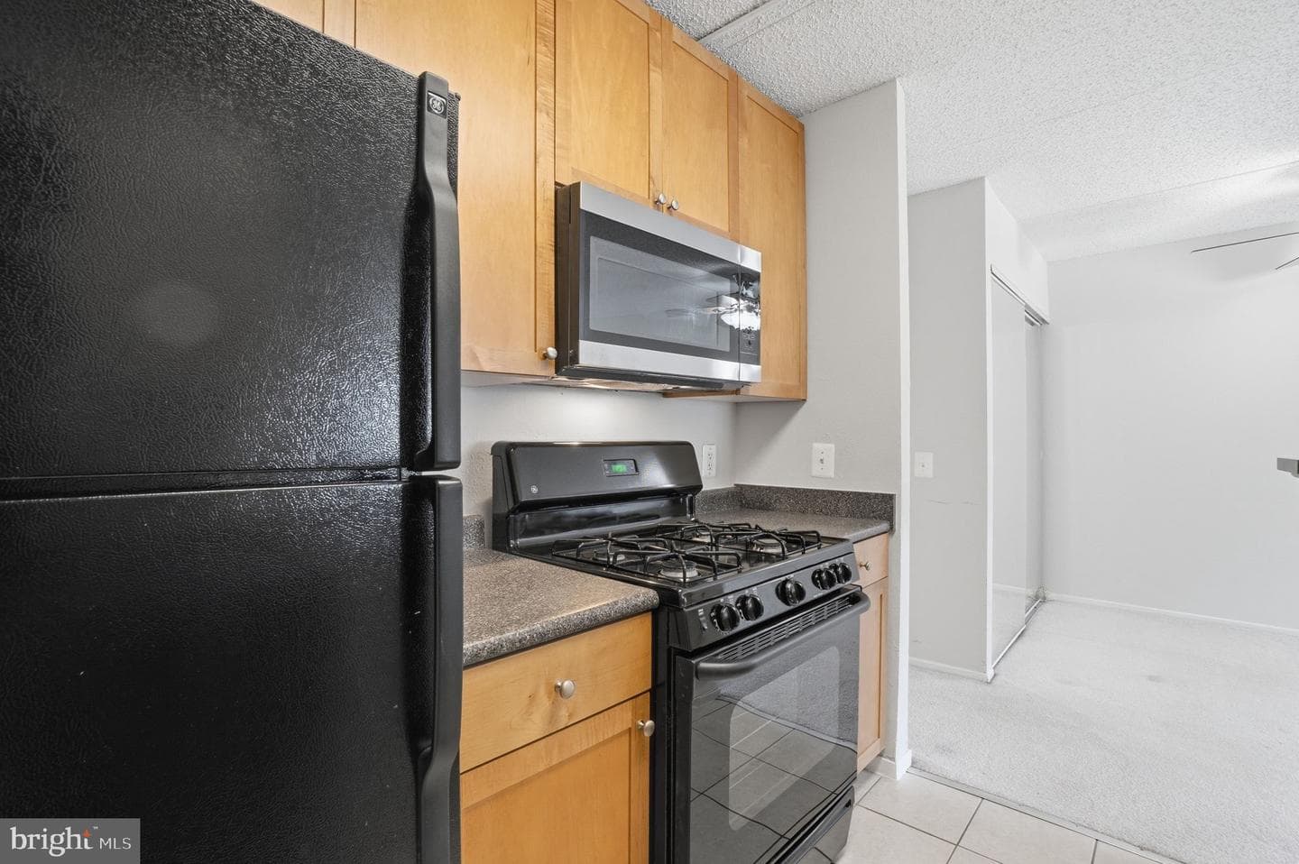 60 S Van Dorn Street #415 photo 4