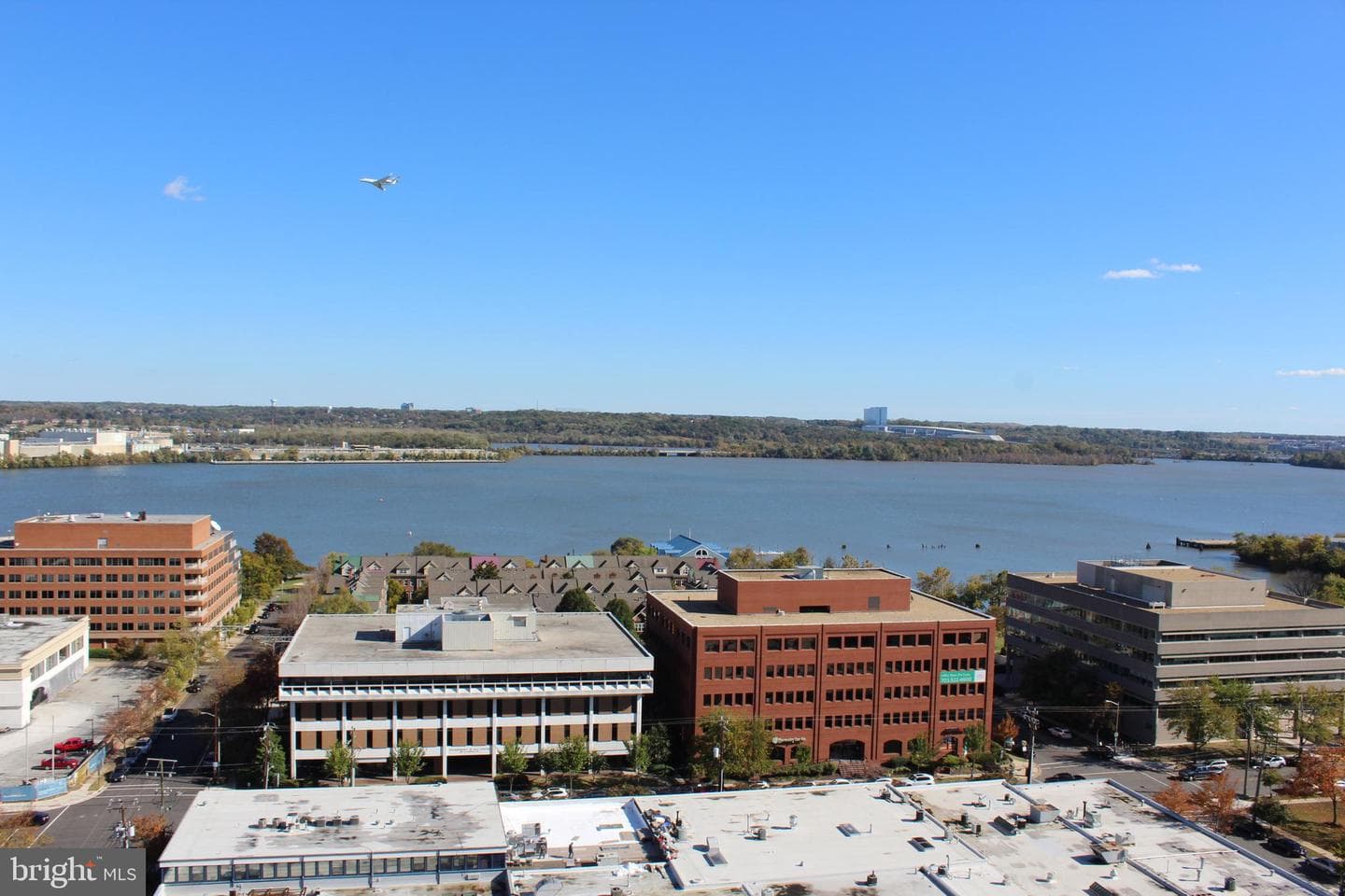 801 N Pitt Street #1203 photo 3