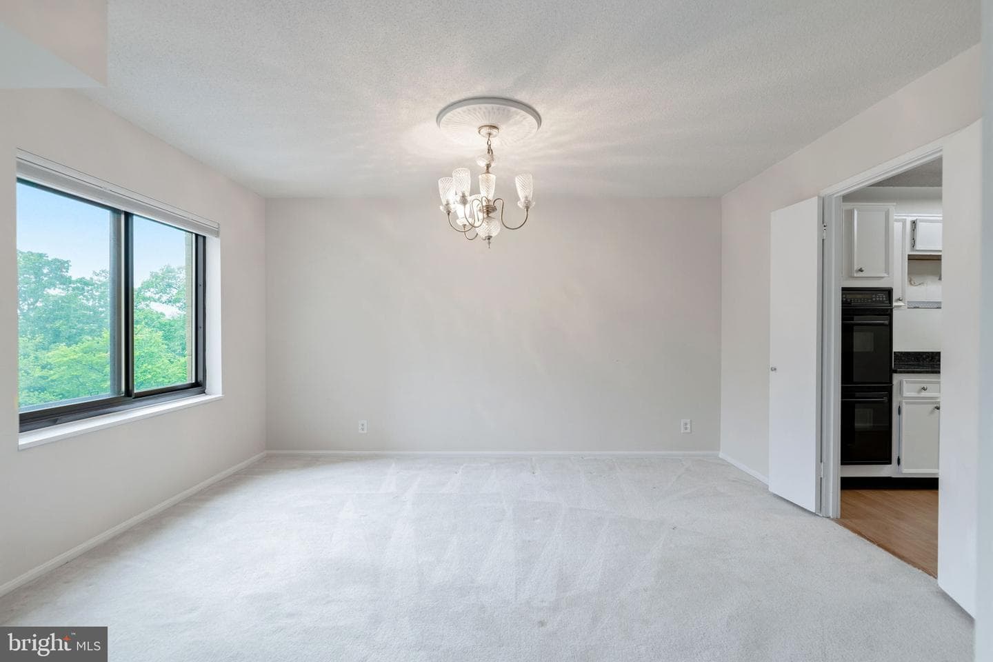 307 Yoakum Pkwy # 512 photo 14