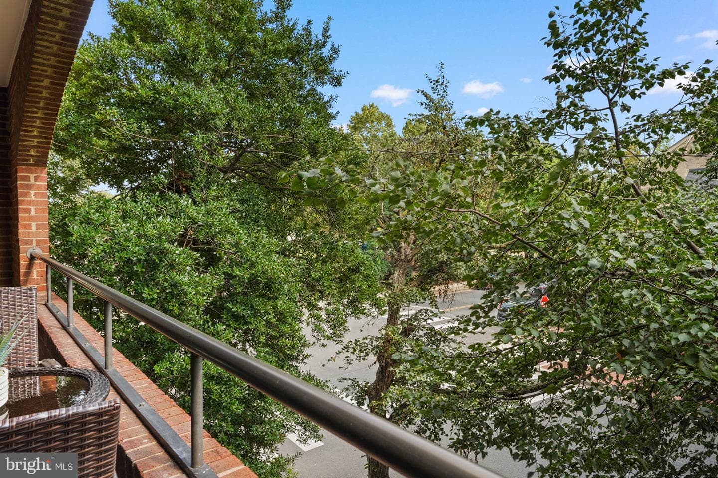 601 Wilkes Street #204 photo 11