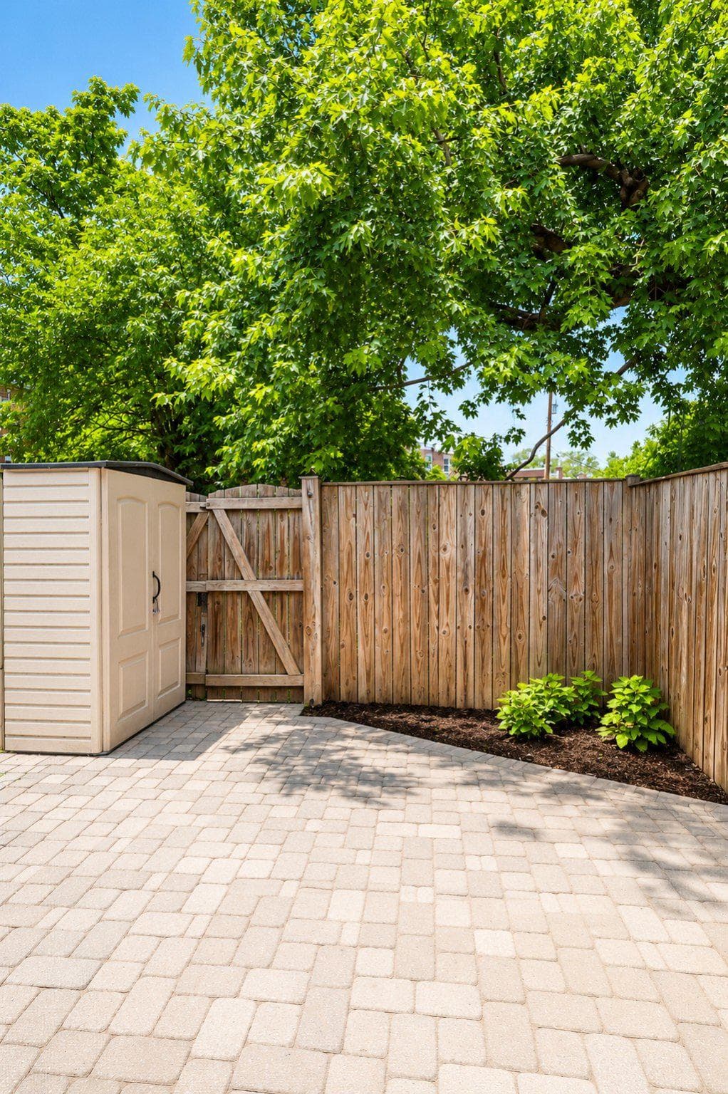 1725 Cameron Street photo 24