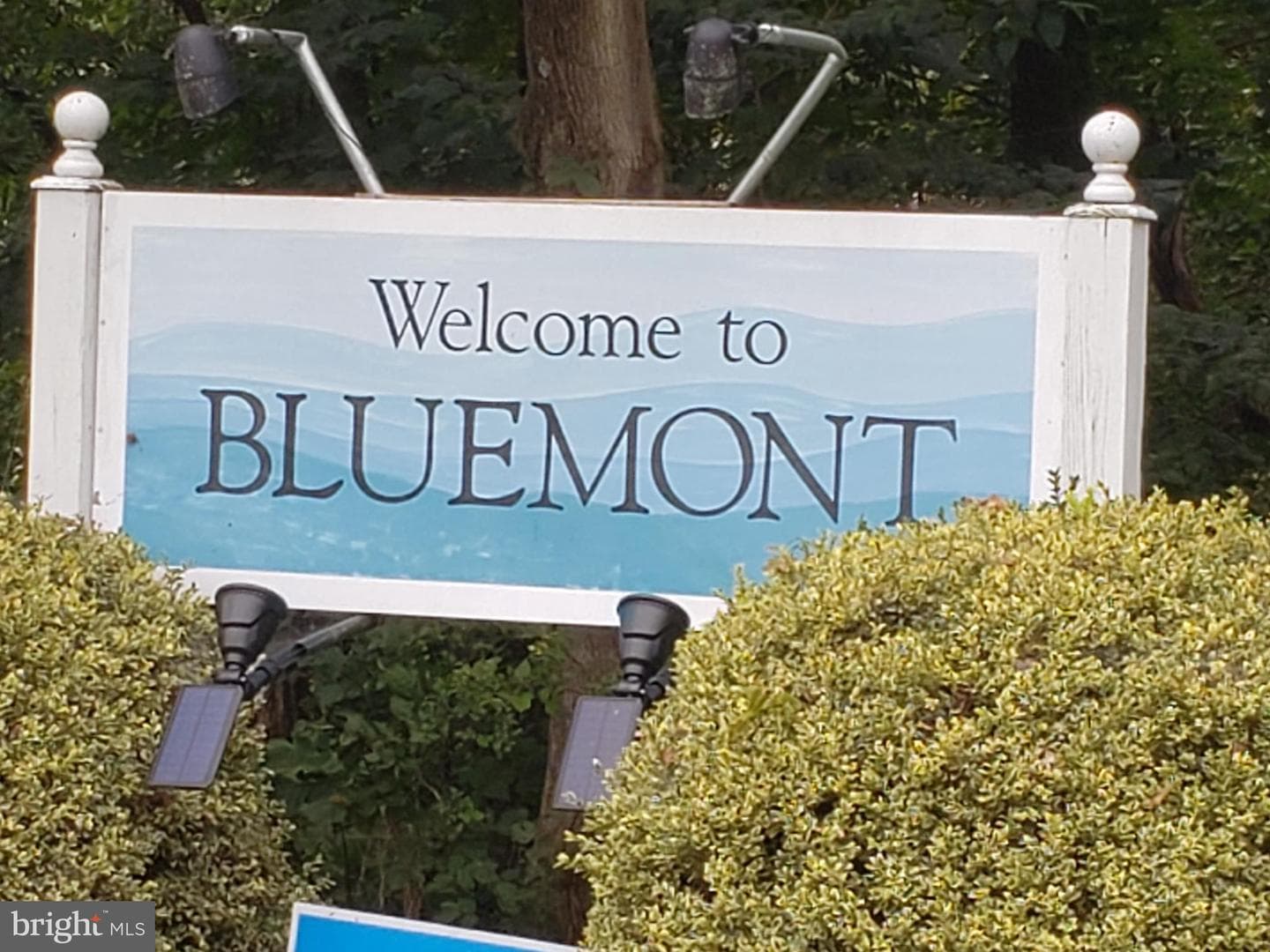 509 Cedar Lane photo 56