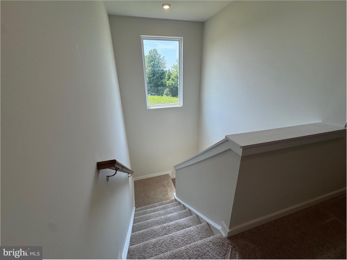 9076 Bell Mare Lane photo 19