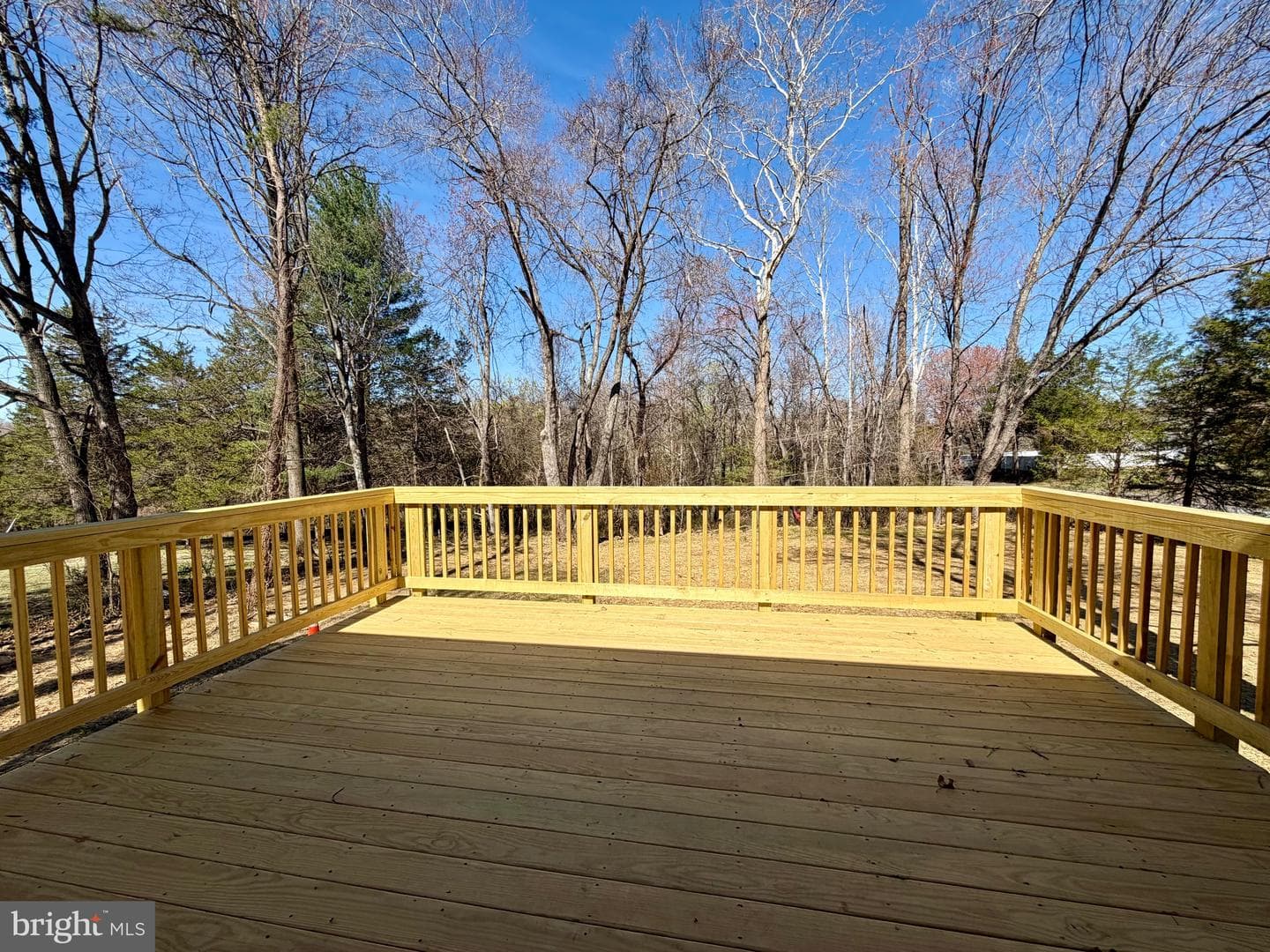 11127 Scott Street photo 6