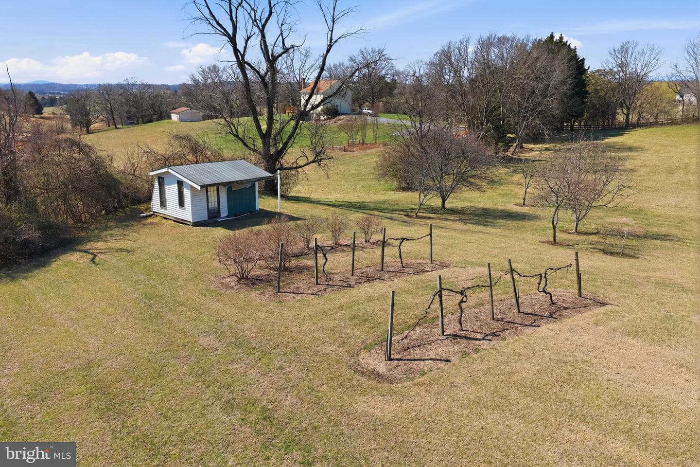 13403 Lost Walnut Lane photo 46